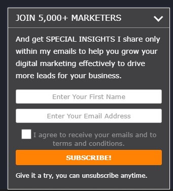 blog newsletter to capture and lead nurture leads how to use b2b seo and b2b content marketing for lead generation Newletter blog example from b2bdigitalmarketers.com How to Use B2B SEO and B2B Content Marketing for Lead Generation.